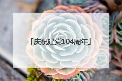 庆祝建党104周年