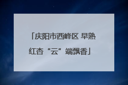 庆阳市西峰区 早熟红杏“云”端飘香