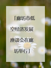 廊坊市低空经济发展座谈会在廊坊举行