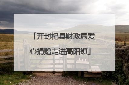 开封杞县财政局爱心捐赠走进高阳镇