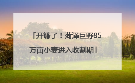 开镰了！菏泽巨野85万亩小麦进入收割期