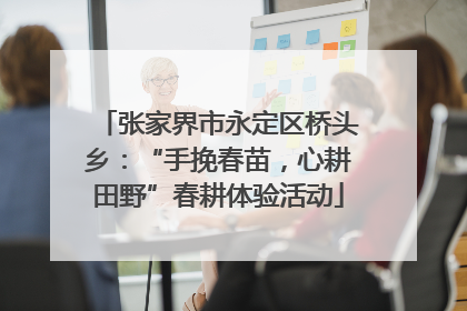张家界市永定区桥头乡：“手挽春苗，心耕田野”春耕体验活动