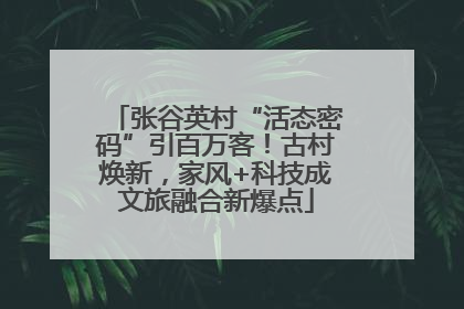 张谷英村“活态密码”引百万客！古村焕新，家风+科技成文旅融合新爆点