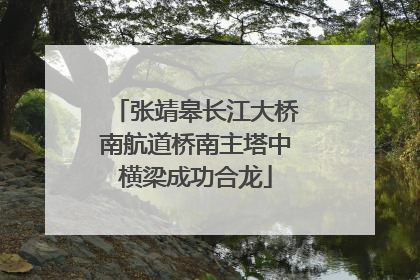 张靖皋长江大桥南航道桥南主塔中横梁成功合龙