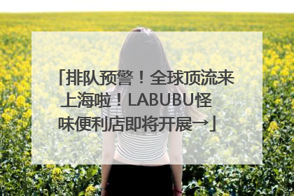 排队预警！全球顶流来上海啦！LABUBU怪味便利店即将开展→