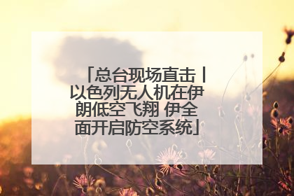 总台现场直击丨以色列无人机在伊朗低空飞翔 伊全面开启防空系统