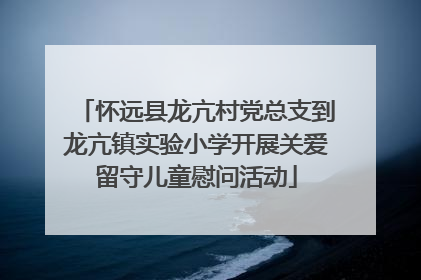 怀远县龙亢村党总支到龙亢镇实验小学开展关爱留守儿童慰问活动