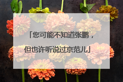 您可能不知道张鹏，但也许听说过京范儿