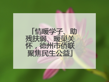 情暖学子、助残扶弱、暖巢关怀，德州市侨联聚焦民生公益