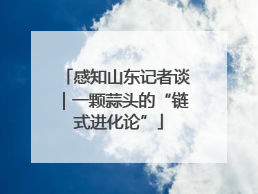 感知山东记者谈｜一颗蒜头的“链式进化论”