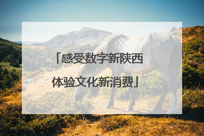 感受数字新陕西 体验文化新消费