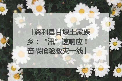 慈利县甘堰土家族乡：“汛”速响应！奋战抢险救灾一线