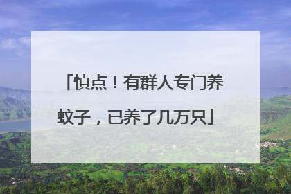 慎点！有群人专门养蚊子，已养了几万只