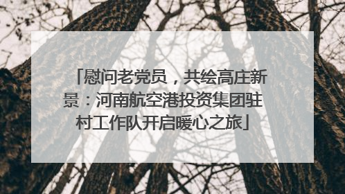 慰问老党员，共绘高庄新景：河南航空港投资集团驻村工作队开启暖心之旅