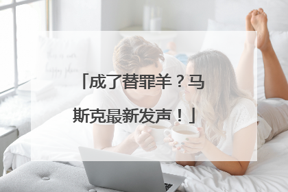 成了替罪羊？马斯克最新发声！
