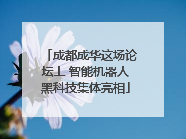 成都成华这场论坛上 智能机器人黑科技集体亮相