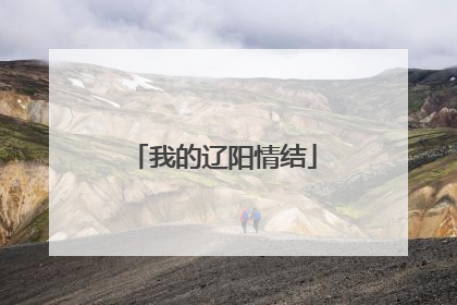 我的辽阳情结