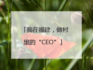 我在福建，做村里的“CEO”