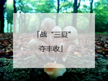 战“三夏” 夺丰收