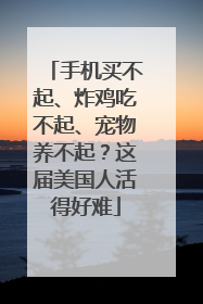手机买不起、炸鸡吃不起、宠物养不起？这届美国人活得好难