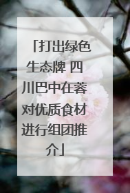 打出绿色生态牌 四川巴中在蓉对优质食材进行组团推介