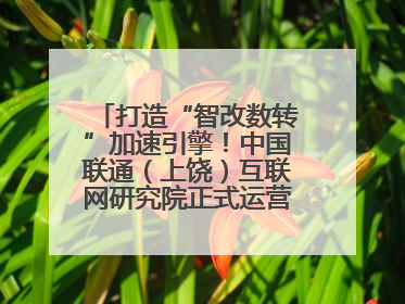 打造“智改数转”加速引擎！中国联通（上饶）互联网研究院正式运营（图）