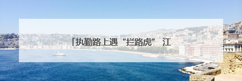 执勤路上遇“拦路虎” 江夏交警暖心救助化险为夷