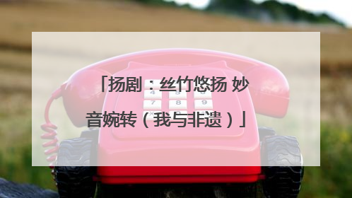扬剧：丝竹悠扬 妙音婉转（我与非遗）