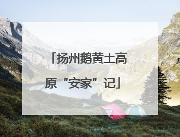 扬州鹅黄土高原“安家”记