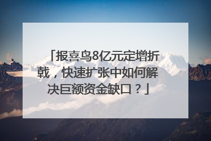 报喜鸟8亿元定增折戟，快速扩张中如何解决巨额资金缺口？