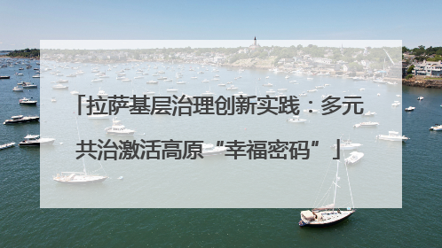拉萨基层治理创新实践：多元共治激活高原“幸福密码”