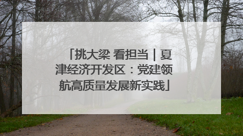 挑大梁 看担当｜夏津经济开发区：党建领航高质量发展新实践