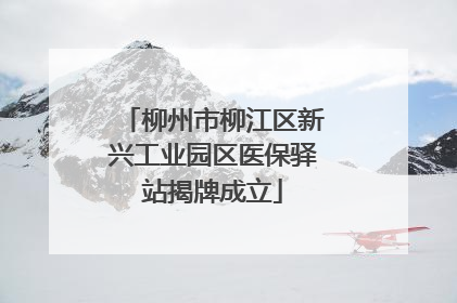 柳州市柳江区新兴工业园区医保驿站揭牌成立