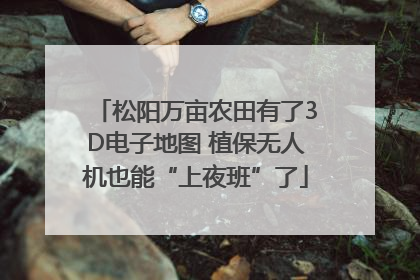 松阳万亩农田有了3D电子地图 植保无人机也能“上夜班”了