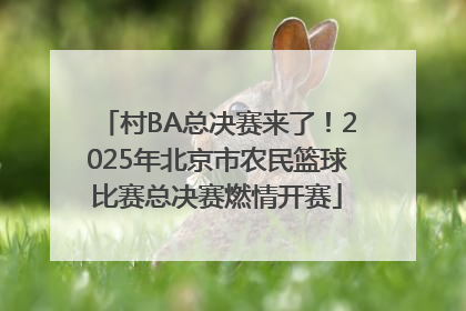 村BA总决赛来了！2025年北京市农民篮球比赛总决赛燃情开赛