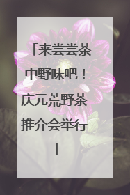 来尝尝茶中野味吧！庆元荒野茶推介会举行