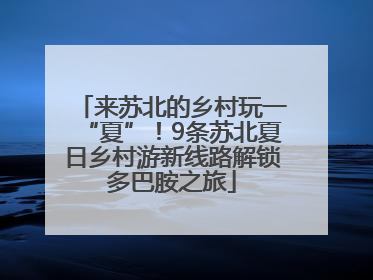 来苏北的乡村玩一“夏”！9条苏北夏日乡村游新线路解锁多巴胺之旅
