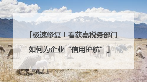 极速修复！看获嘉税务部门如何为企业“信用护航”