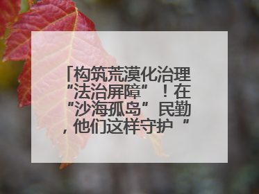 构筑荒漠化治理“法治屏障”！在“沙海孤岛”民勤，他们这样守护“沙退绿进”的生态奇迹