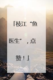 枝江“鱼医生”，点赞！