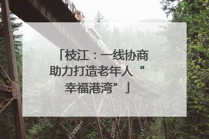 枝江：一线协商助力打造老年人“幸福港湾”