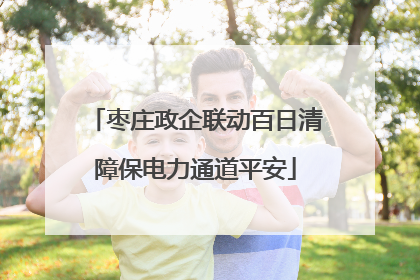 枣庄政企联动百日清障保电力通道平安