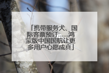 携带服务犬、国际客票预订……鸿蒙版中国国航让更多用户心愿成真