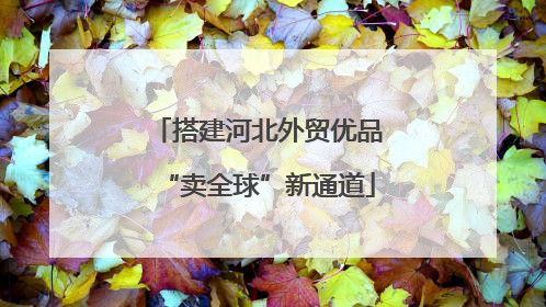 搭建河北外贸优品“卖全球”新通道