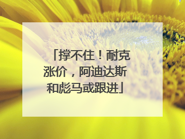 撑不住！耐克涨价，阿迪达斯和彪马或跟进