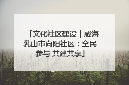 文化社区建设｜威海乳山市向阳社区：全民参与 共建共享