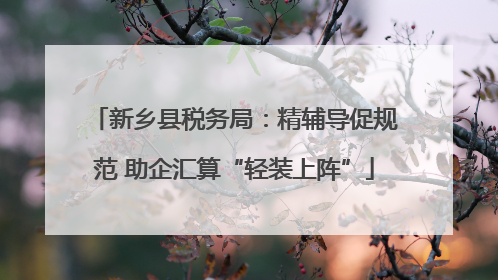 新乡县税务局：精辅导促规范 助企汇算“轻装上阵”