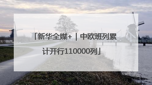 新华全媒+｜中欧班列累计开行110000列