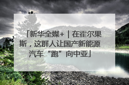 新华全媒+｜在霍尔果斯，这群人让国产新能源汽车“跑”向中亚