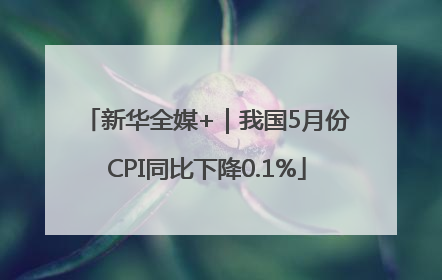 新华全媒+｜我国5月份CPI同比下降0.1%